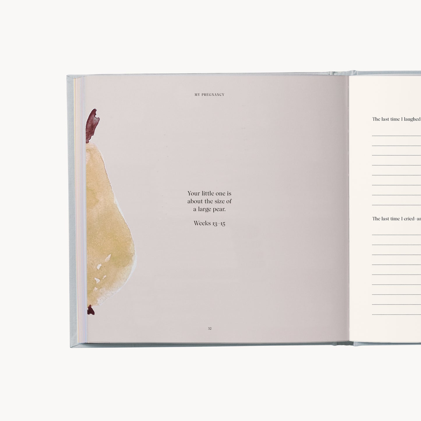 PRE-ORDER – my pregnancy – memories & treasures