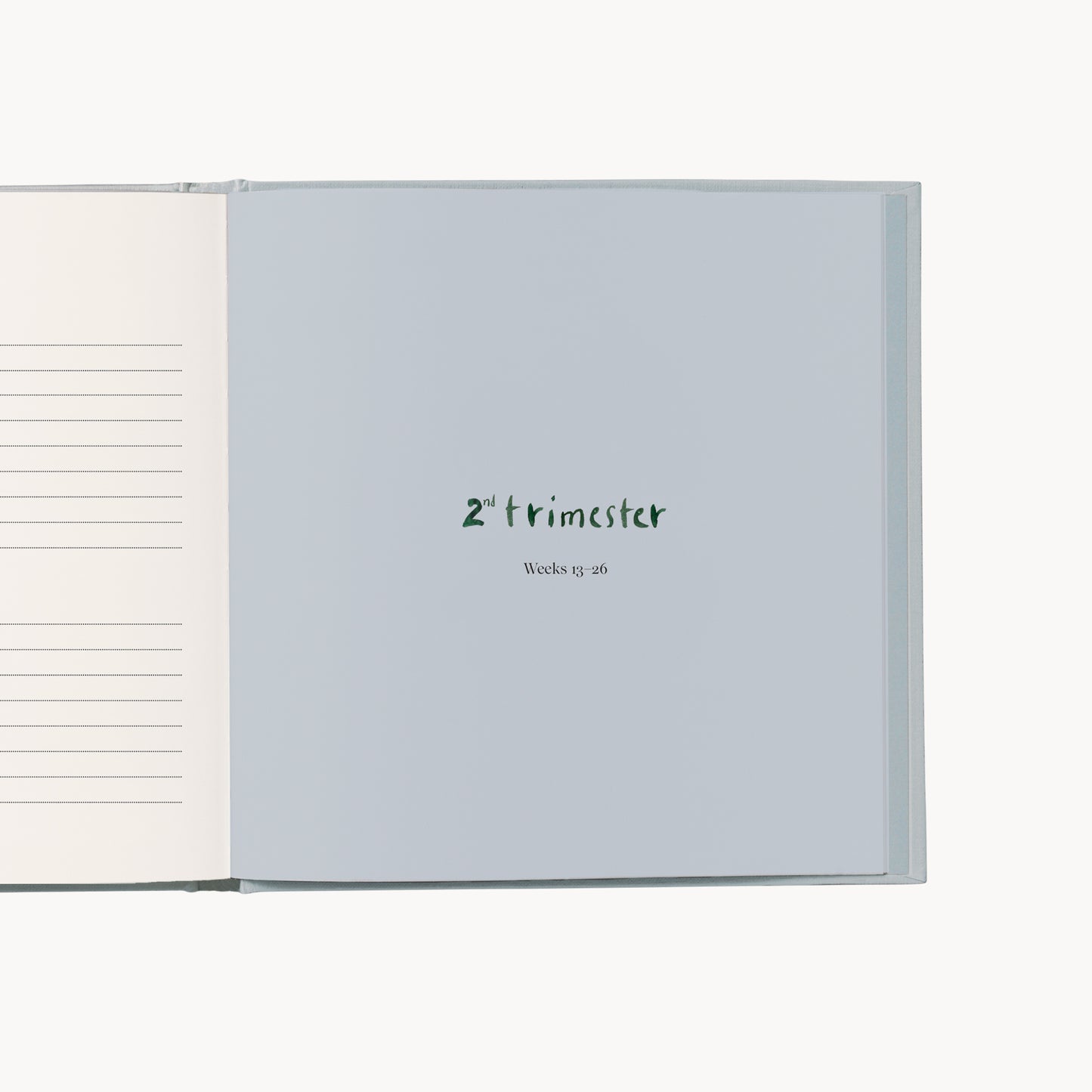 PRE-ORDER – my pregnancy – memories & treasures