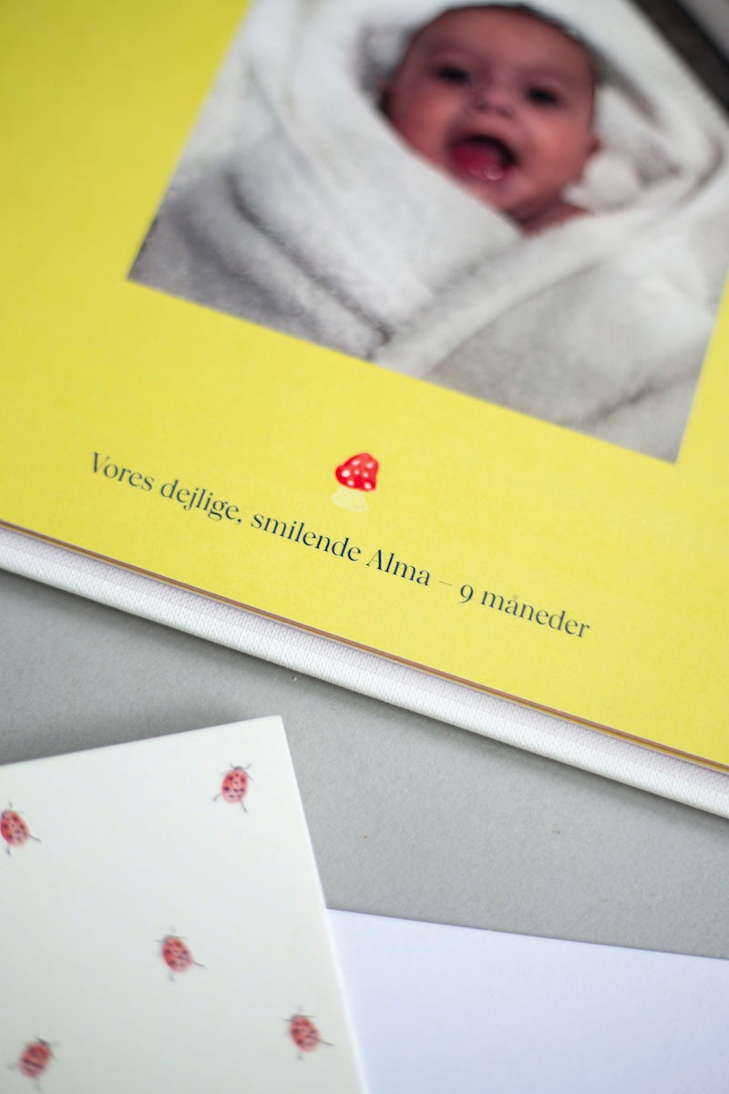 udfyld online – ekstra sider