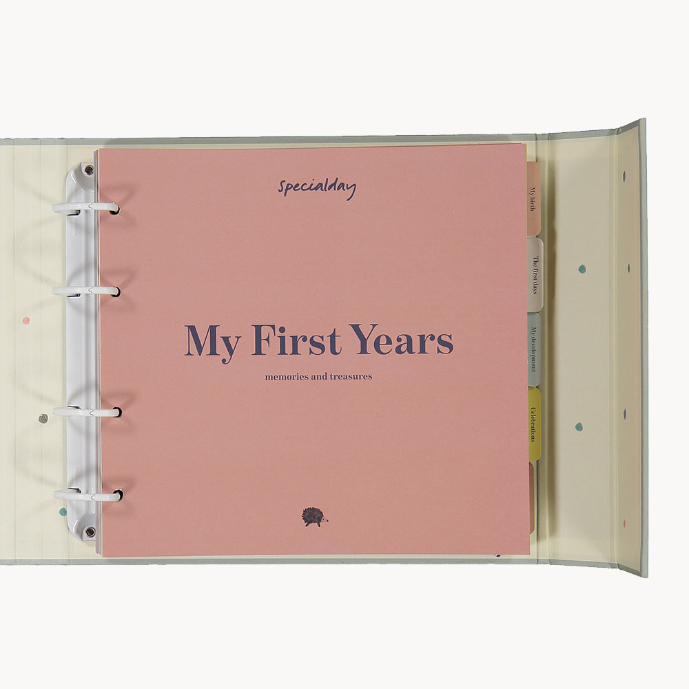 chapters for my first years - album