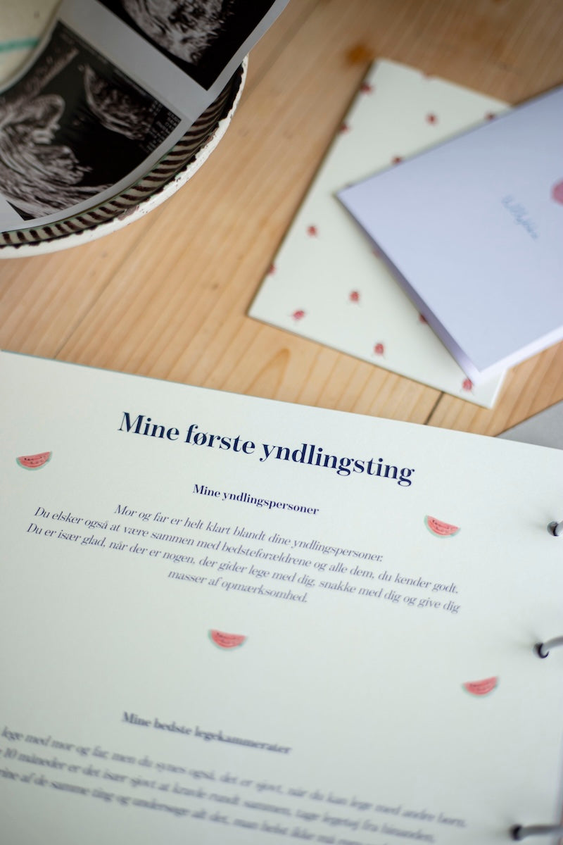 udfyld online – kapitel – min udvikling