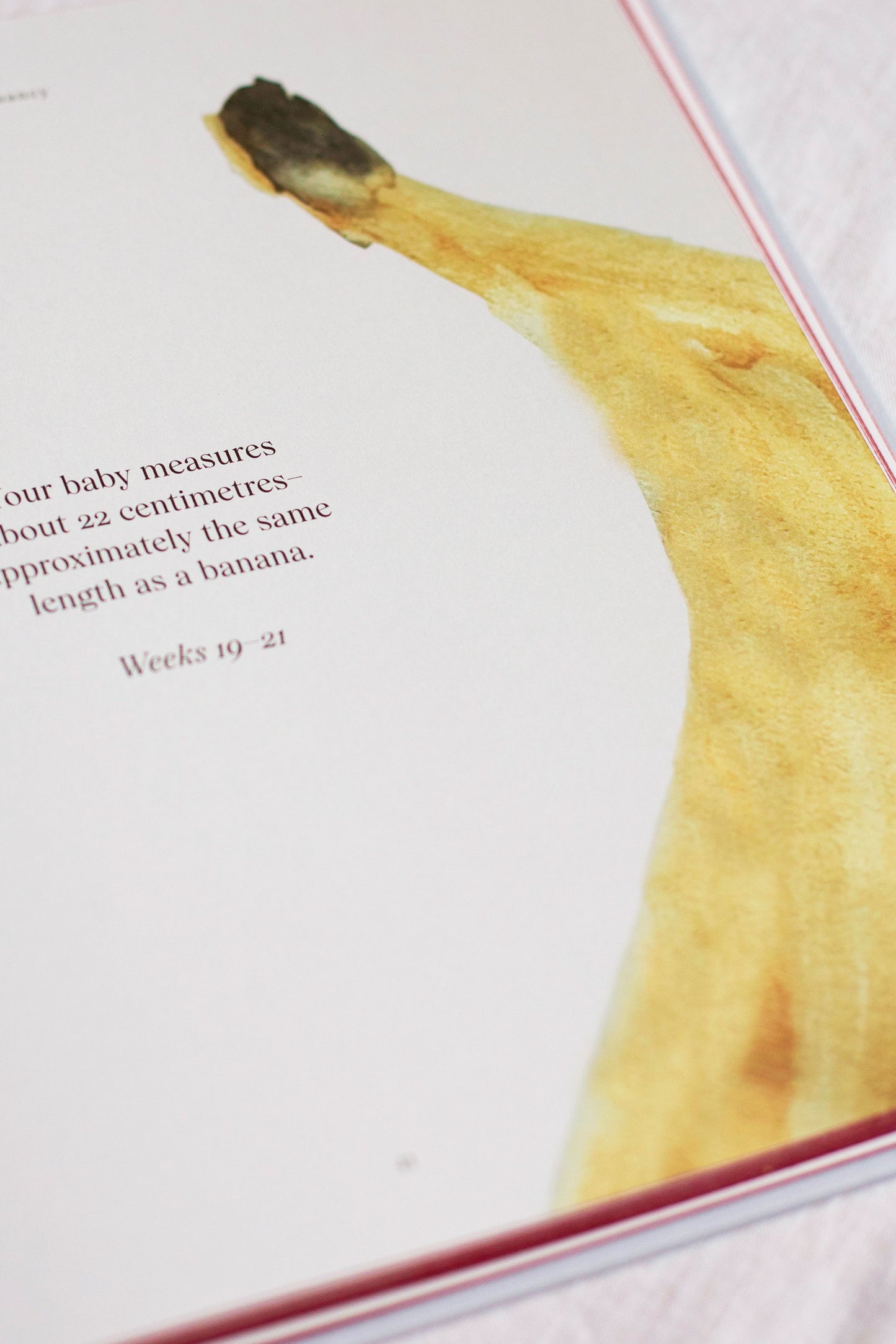 my pregnancy  –  memories & treasures