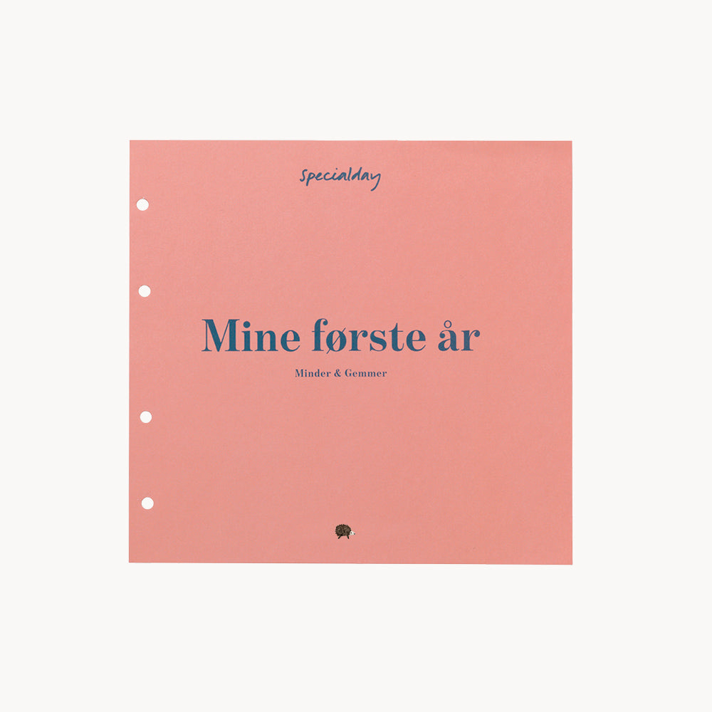 første kapitel – indledning – udfyld online