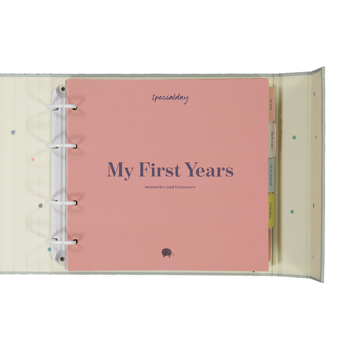 my first years - memories & treasures (rose album)