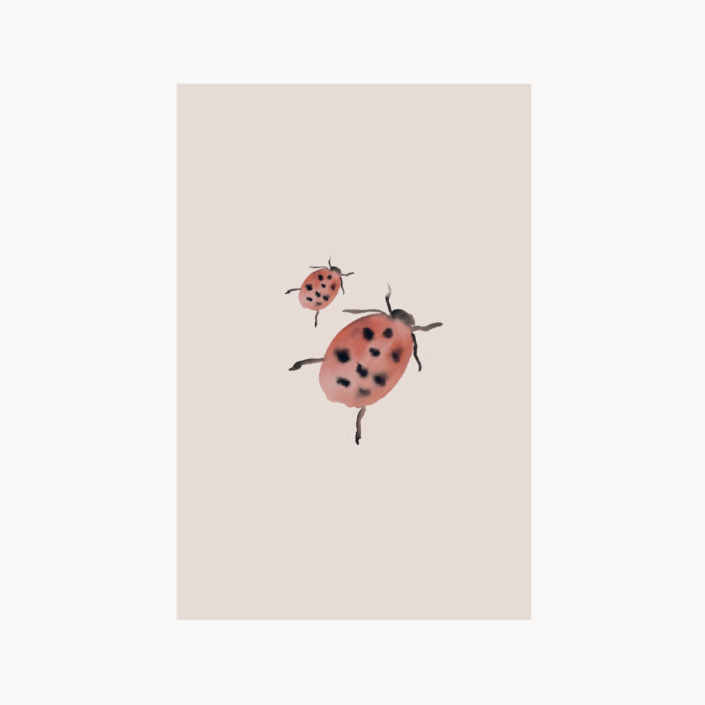 card - ladybug